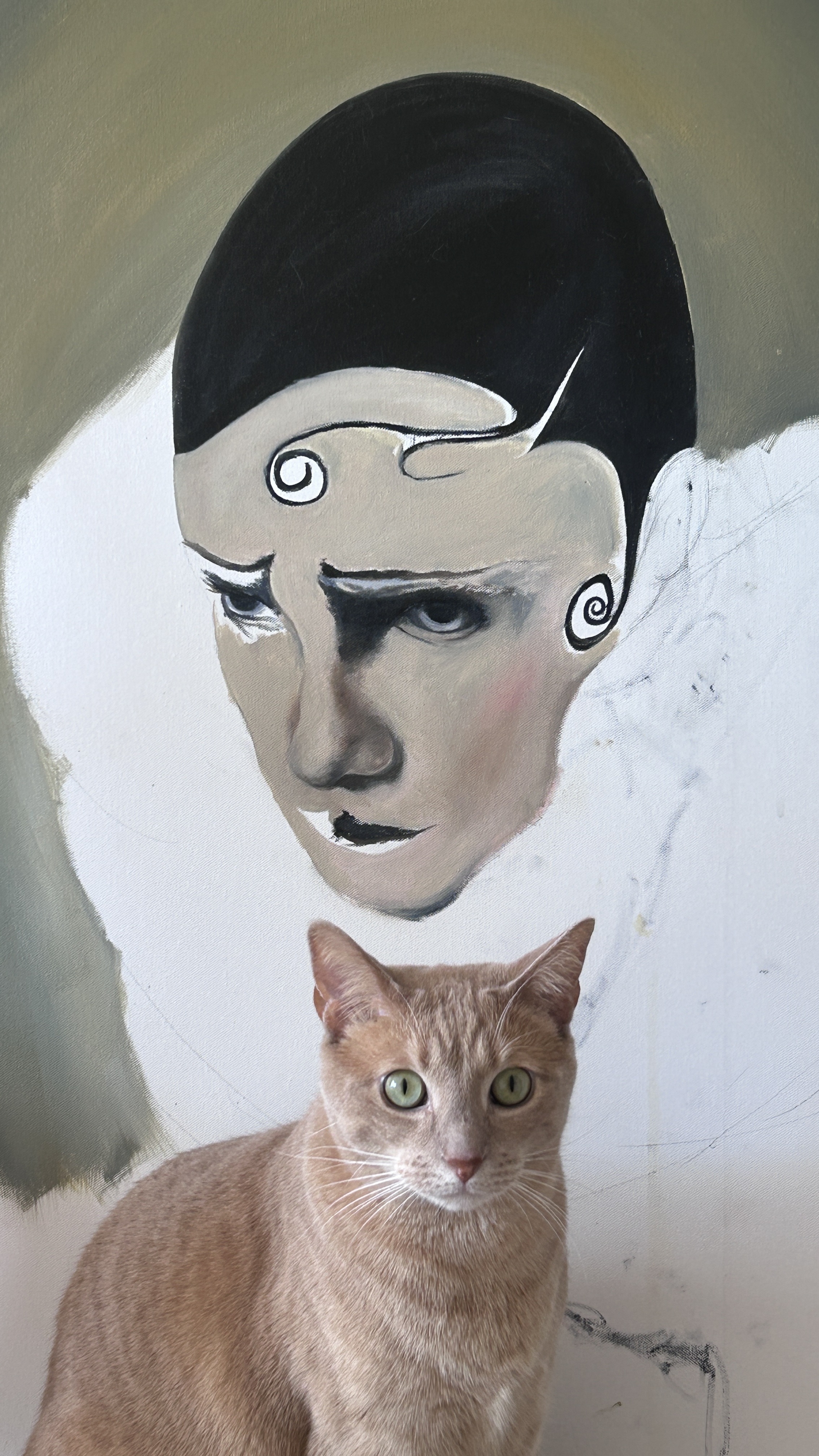 Studio process shot with cat
